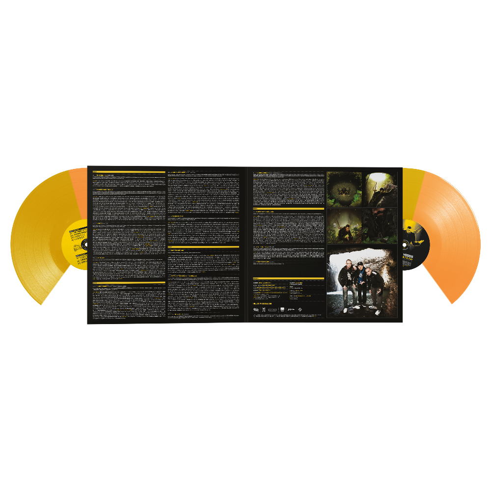 Drinking From The Sun (10th Anniversary 2LP) Expanded Inside